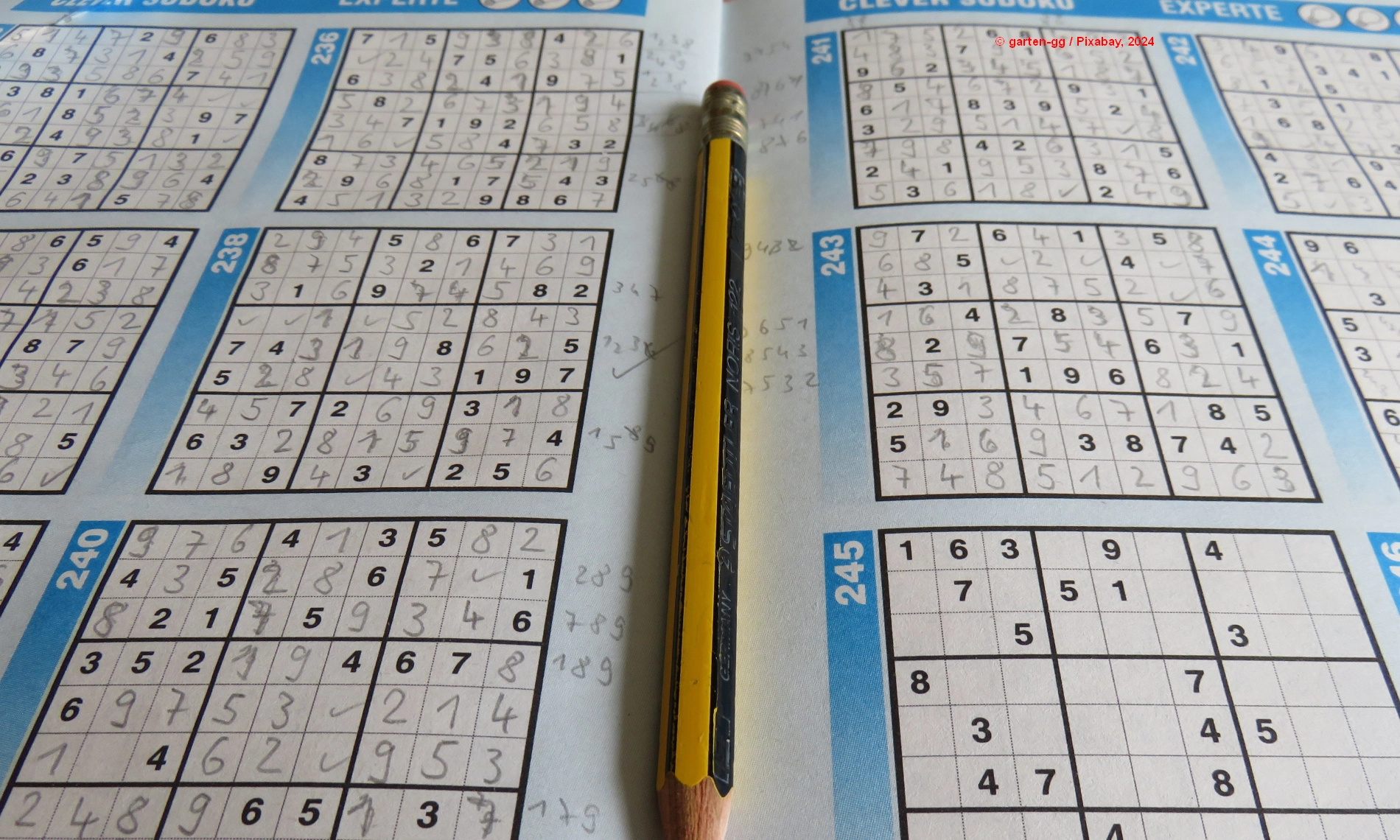 Numeri entro il dieci: numerali e quantità con il SUDOKU