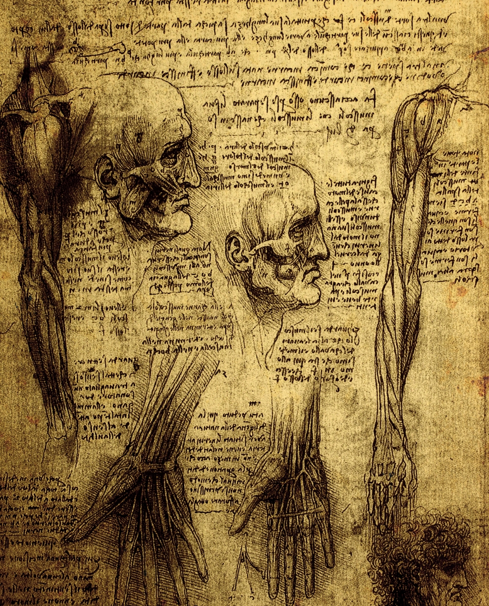 Pensare, disegnare, conoscere: il contributo filosofico di Leonardo da Vinci