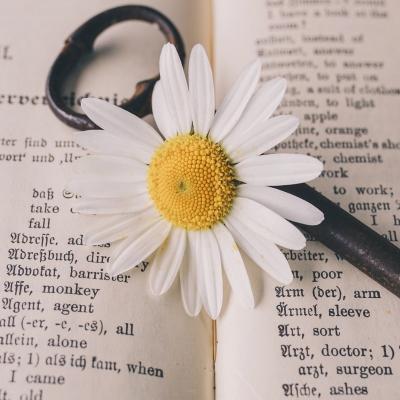 La filosofia non ha bisogno di esempi
